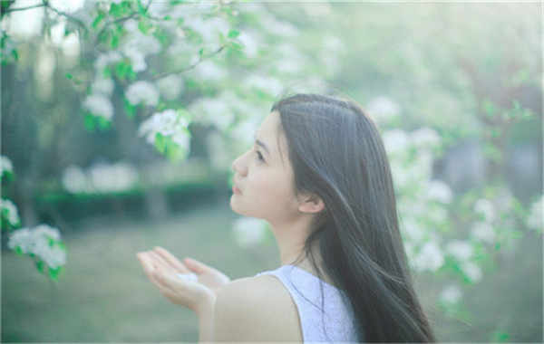 云岩验血查男女几周可以验(验血查男女结果图)